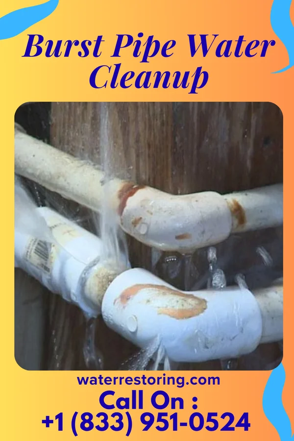 Burst Pipe Water Cleanup in Bolckow, MO