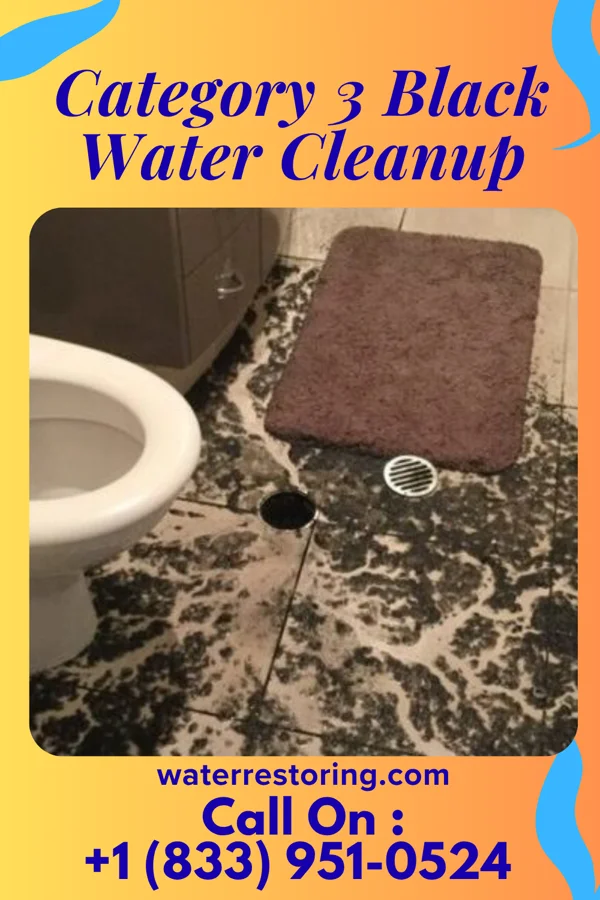 Category 3 Black Water Cleanup in Bolckow, MO