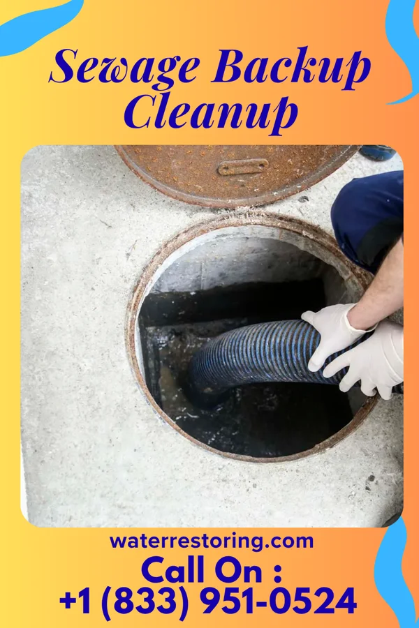 Sewage Backup Cleanup in Bolckow, MO