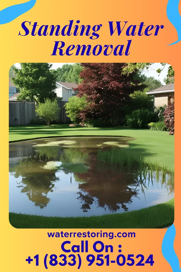 Standing Water Removal in Bolckow, MO